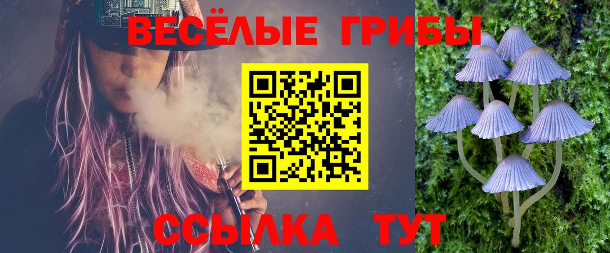 Каменка  Псилоцибиновые грибы Psilocybe  Псилоцибиновые грибы ЛСД  Вход с VPN 