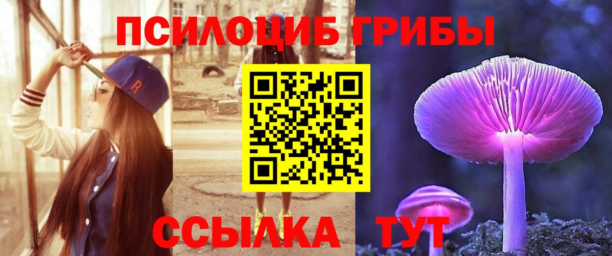 ЭКСТАЗИ  Альфа ПВП СК кристаллы  Каннабис  Каменка  ГАШ  Меф МЯУ МЯУ   Вход с VPN 