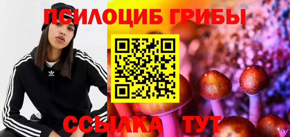 Галлюциногенные грибы Magic Shrooms Каменка